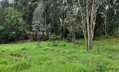 VENTA LOTE TOCANCIPA VIA GACHANCIPA CUNDINAMARCA