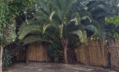 Loft en Renta Fraccionamiento La Rivera