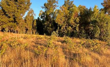 Venta de Parcelas en Cauquenes a $8.990.000.- con Rol