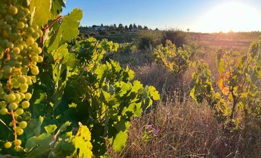 Venta de Parcelas en Cauquenes a $8.990.000.- con Rol