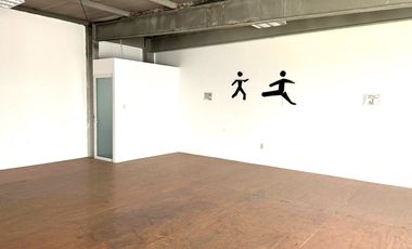 LOCALES COMERCIALES en RENTA Zona comercial y de alta densidad