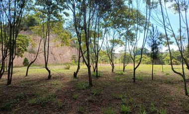 VENDO PARCELA  LEBRIJA FRENTE AL MIRADOR DEL AEROPUERTO FRENTE AL RESTAURANTE LA CUCHARA DE PALO