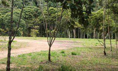 VENDO PARCELA  LEBRIJA FRENTE AL MIRADOR DEL AEROPUERTO FRENTE AL RESTAURANTE LA CUCHARA DE PALO