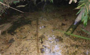 VENDO PARCELA  LEBRIJA FRENTE AL MIRADOR DEL AEROPUERTO FRENTE AL RESTAURANTE LA CUCHARA DE PALO