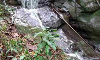 VENDO PARCELA  LEBRIJA FRENTE AL MIRADOR DEL AEROPUERTO FRENTE AL RESTAURANTE LA CUCHARA DE PALO