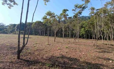 VENDO PARCELA  LEBRIJA FRENTE AL MIRADOR DEL AEROPUERTO FRENTE AL RESTAURANTE LA CUCHARA DE PALO