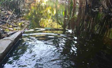 VENDO PARCELA  LEBRIJA FRENTE AL MIRADOR DEL AEROPUERTO FRENTE AL RESTAURANTE LA CUCHARA DE PALO