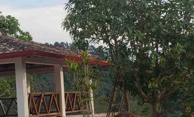 VENDO PARCELA  LEBRIJA FRENTE AL MIRADOR DEL AEROPUERTO FRENTE AL RESTAURANTE LA CUCHARA DE PALO