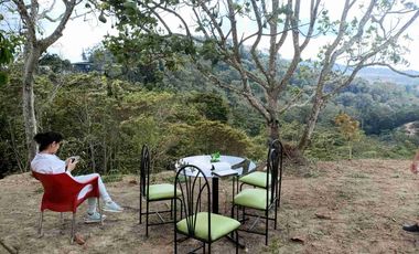 VENDO PARCELA  LEBRIJA FRENTE AL MIRADOR DEL AEROPUERTO FRENTE AL RESTAURANTE LA CUCHARA DE PALO