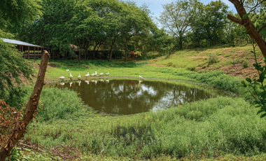 Venta - Finca vía a la costa – 195.800m2  con caballerizas y cabaña de teca