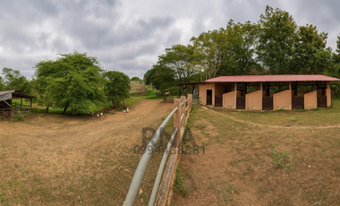 Venta - Finca vía a la costa – 195.800m2  con caballerizas y cabaña de teca