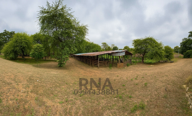 Venta - Finca vía a la costa – 195.800m2  con caballerizas y cabaña de teca