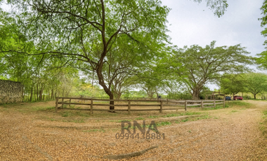 Venta - Finca vía a la costa – 195.800m2  con caballerizas y cabaña de teca