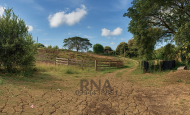 Venta - Finca vía a la costa – 195.800m2  con caballerizas y cabaña de teca