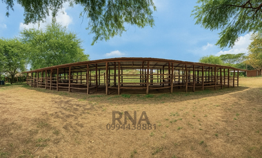 Venta - Finca vía a la costa – 195.800m2  con caballerizas y cabaña de teca
