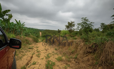Venta - Finca vía a la costa – 195.800m2  con caballerizas y cabaña de teca