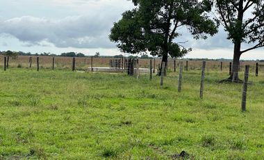 FINCA GANADERA DE 2.053 HECTAREAS EN TRINIDAD - CASANARE