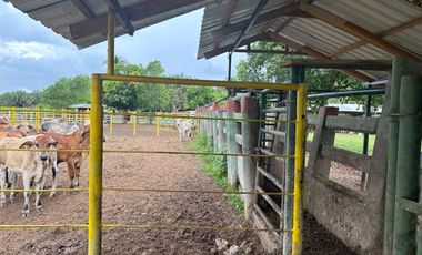 FINCA GANADERA DE 2.053 HECTAREAS EN TRINIDAD - CASANARE