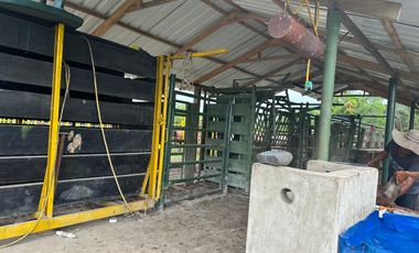 FINCA GANADERA DE 2.053 HECTAREAS EN TRINIDAD - CASANARE