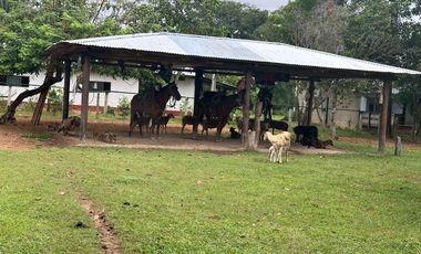 FINCA GANADERA DE 2.053 HECTAREAS EN TRINIDAD - CASANARE