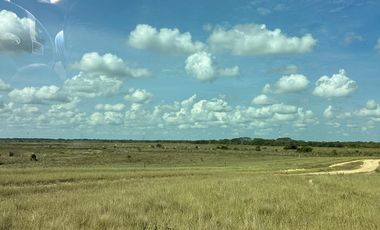 FINCA GANADERA DE 2.053 HECTAREAS EN TRINIDAD - CASANARE