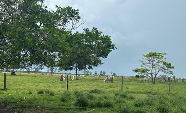 FINCA GANADERA DE 2.053 HECTAREAS EN TRINIDAD - CASANARE
