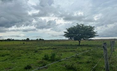 FINCA GANADERA DE 2.053 HECTAREAS EN TRINIDAD - CASANARE