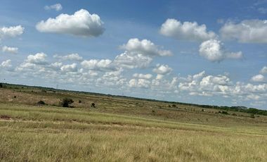 FINCA GANADERA DE 2.053 HECTAREAS EN TRINIDAD - CASANARE