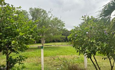 FINCA GANADERA DE 2.053 HECTAREAS EN TRINIDAD - CASANARE