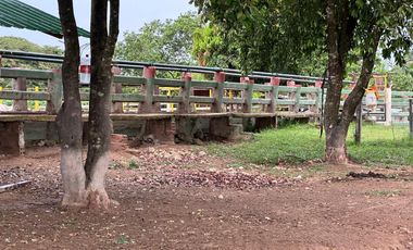 FINCA GANADERA DE 2.053 HECTAREAS EN TRINIDAD - CASANARE