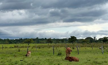 FINCA GANADERA DE 2.053 HECTAREAS EN TRINIDAD - CASANARE