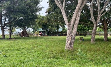 FINCA GANADERA DE 2.053 HECTAREAS EN TRINIDAD - CASANARE