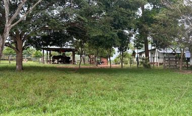 FINCA GANADERA DE 2.053 HECTAREAS EN TRINIDAD - CASANARE