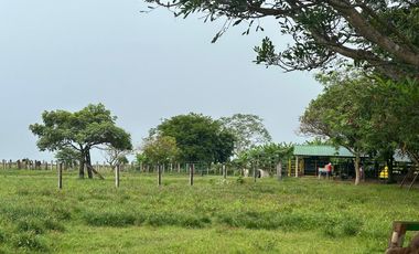 FINCA GANADERA DE 2.053 HECTAREAS EN TRINIDAD - CASANARE