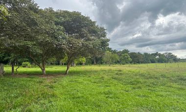 FINCA GANADERA DE 2.053 HECTAREAS EN TRINIDAD - CASANARE
