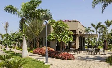 Casas de estreno en Isla Mocolí