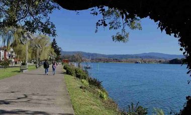 Terreno en Venta 38,6 HECTAREAS, Pupunahue  Valdivia, cercano Río Calle Calle