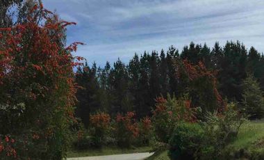 Terreno en Venta 38,6 HECTAREAS, Pupunahue  Valdivia, cercano Río Calle Calle