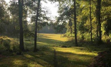 Terreno en Venta 38,6 HECTAREAS, Pupunahue  Valdivia, cercano Río Calle Calle