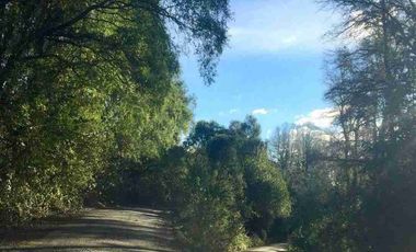 Terreno en Venta 38,6 HECTAREAS, Pupunahue  Valdivia, cercano Río Calle Calle