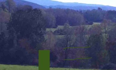 Terreno en Venta 38,6 HECTAREAS, Pupunahue  Valdivia, cercano Río Calle Calle