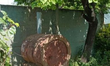 Marco Schiapponi CONVERSABLE