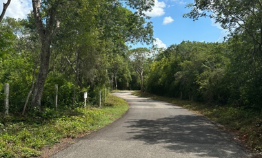 Lotes Campestres en Venta / Azul-Ha / Seyé, Yucatán