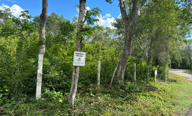 Lotes Campestres en Venta / Azul-Ha / Seyé, Yucatán