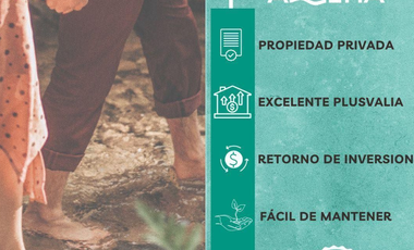 Lotes Campestres en Venta / Azul-Ha / Seyé, Yucatán