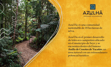 Lotes Campestres en Venta / Azul-Ha / Seyé, Yucatán