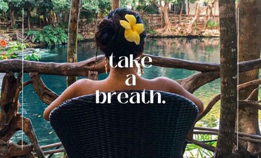 Lotes Campestres en Venta / Azul-Ha / Seyé, Yucatán