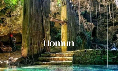 Lotes Campestres en Venta / Azul-Ha / Seyé, Yucatán