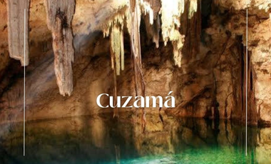 Lotes Campestres en Venta / Azul-Ha / Seyé, Yucatán