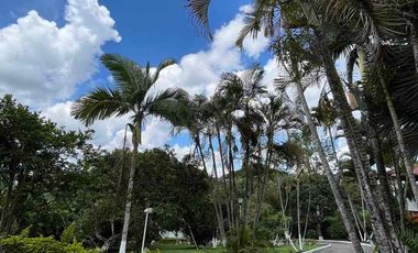 Vendo casa campestre en Pereira